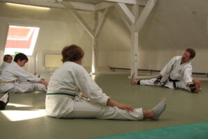 Ki und Karate Tübingen