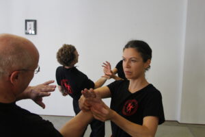 Aikido - Kipphandhebel