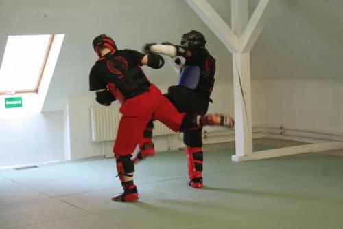 2010 Protection Fighting 3